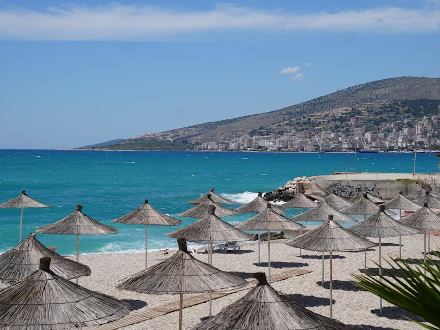 When to Visit Tenerife: A Month-by-Month Guide